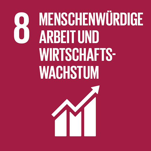 Logo SDG 8 SDG 8 - Menschenwürdige Arbeit und Wirtschaftswachstum