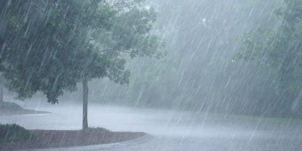 weitere Informationen auf der Seite Klimaanpassung