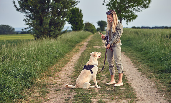 Frau mit angeleintem Hund auf einem Feldweg.