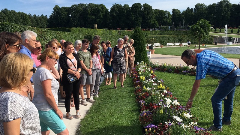 neues großes Blumenbeet im Blühenden Barock als Bienenweide