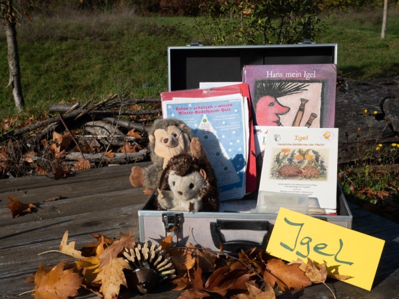 Informationsmaterial Bienen