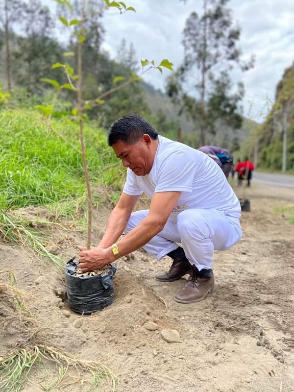Mann pflanzt einen Baum