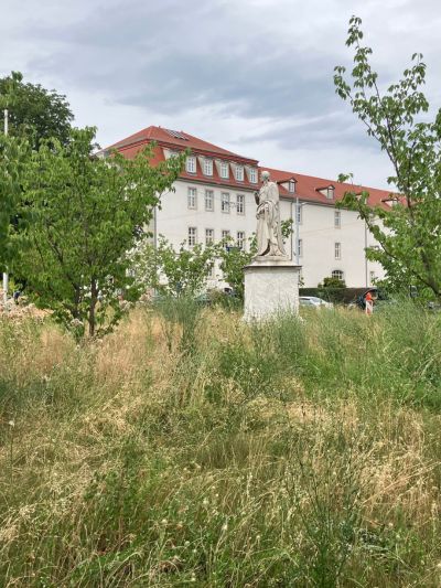 Rasenfläche und Bepflanzung in der Stadt