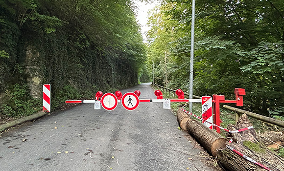 Rot-weiße Schranke mit Warnlichtern und einem "Fußgänger verboten"-Schild sowie einem "Einfahrt verboten"-Schild über einer durch den Wald führenden Straße.