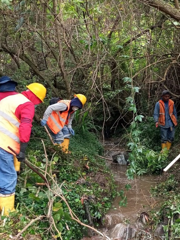 Männer säubern einen Bachlauf im Bald