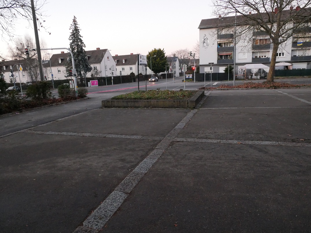 Rückschnitt des Berberitzenbeetes Rückschnitt des Berberitzenbeetes